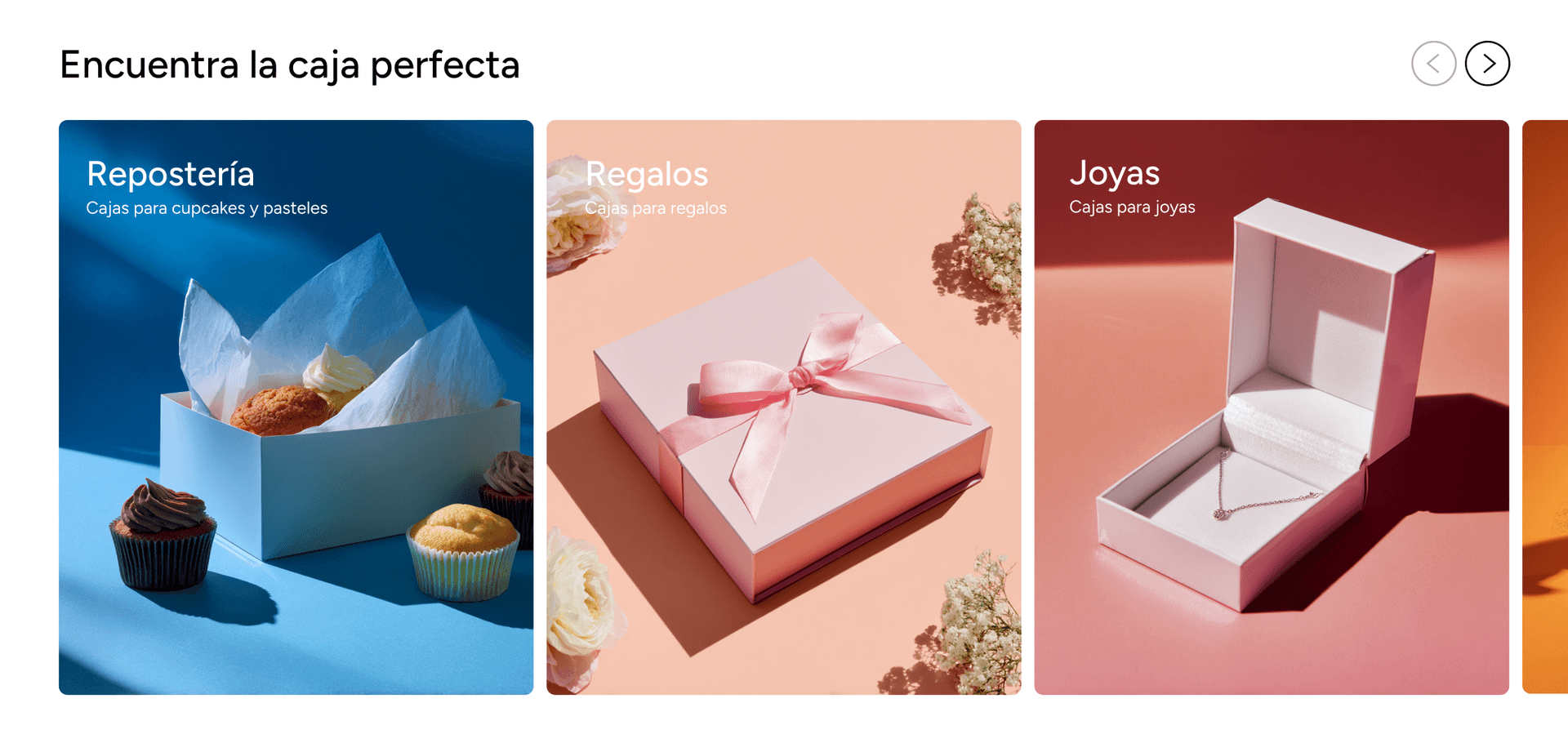 E-commerce Shopify - 6